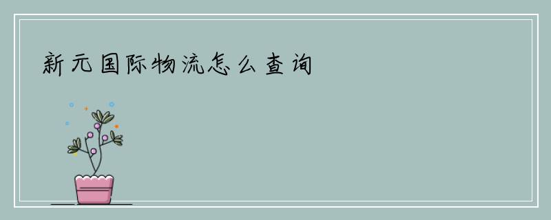 新元国际物流怎么查询