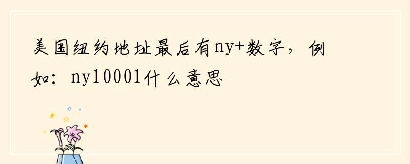 美国纽约地址最后有ny+数字，例如：ny10001什么意思