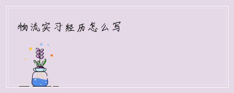 物流实习经历怎么写