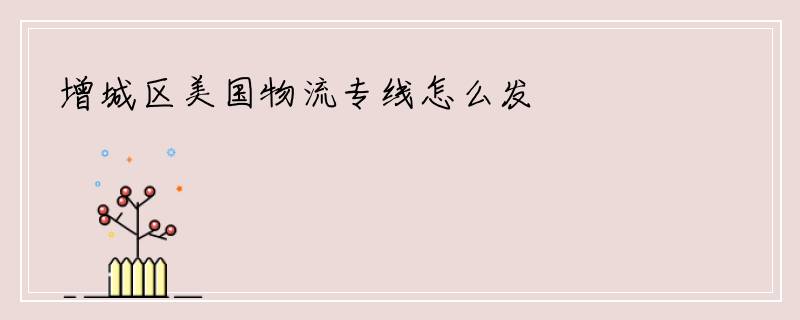增城区美国物流专线怎么发