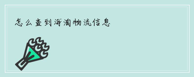 怎么查到海淘物流信息