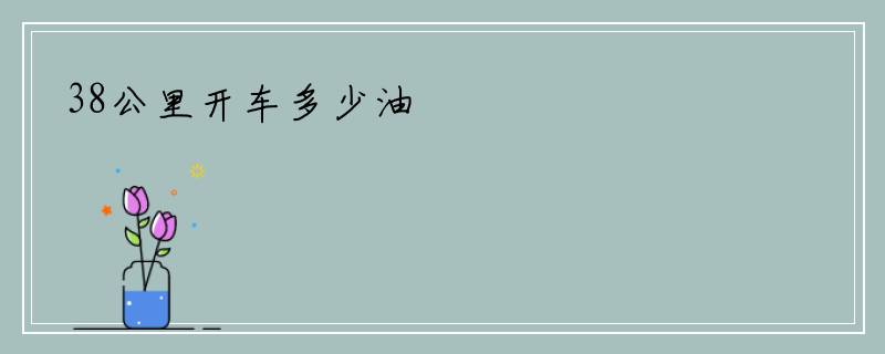 38公里开车多少油