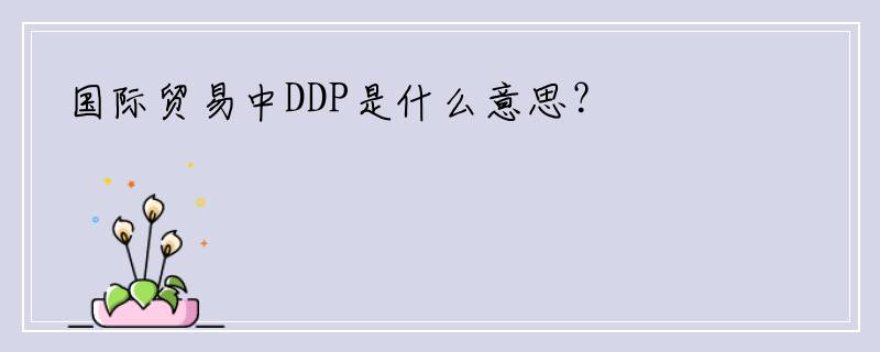 国际贸易中DDP是什么意思？