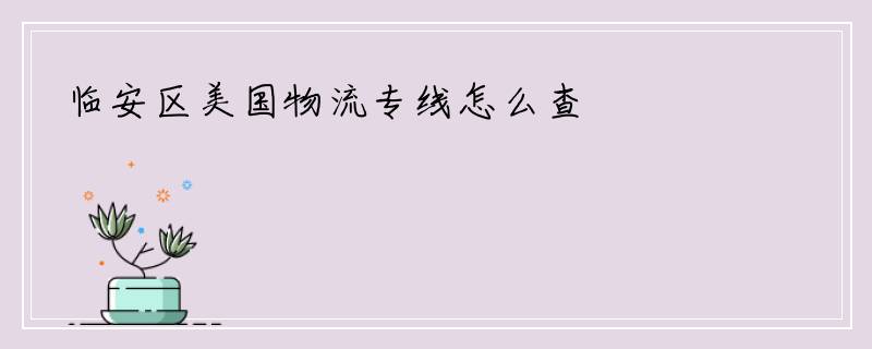 临安区美国物流专线怎么查