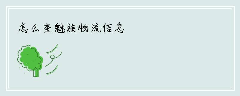 怎么查魅族物流信息
