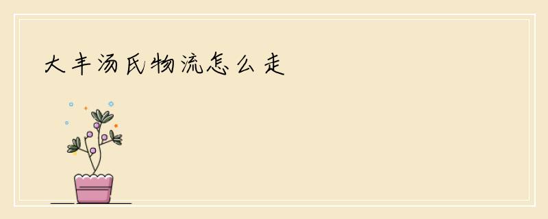 大丰汤氏物流怎么走
