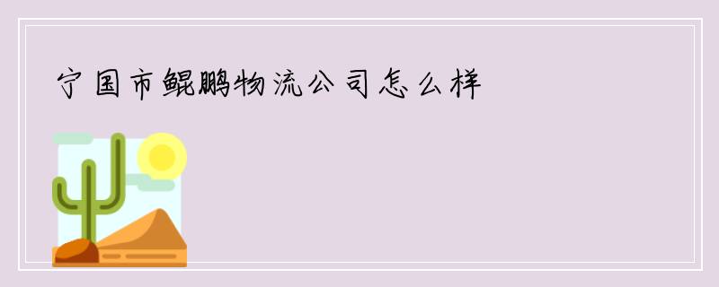 宁国市鲲鹏物流公司怎么样