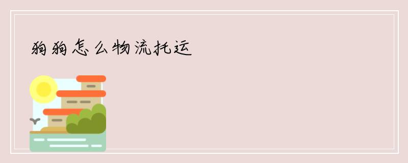 狗狗怎么物流托运