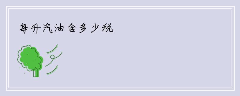 每升汽油含多少税