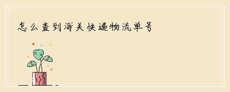 怎么查到海关快递物流单号