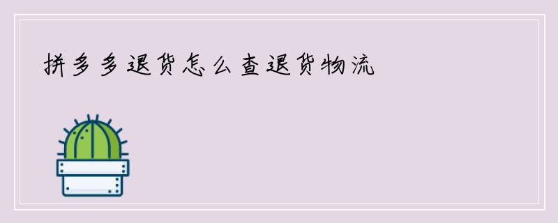 拼多多退货怎么查退货物流