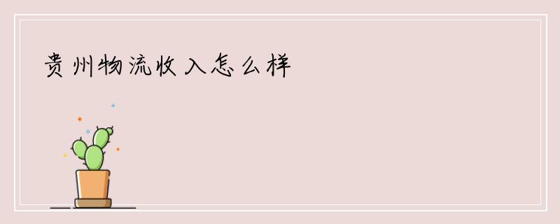 贵州物流收入怎么样