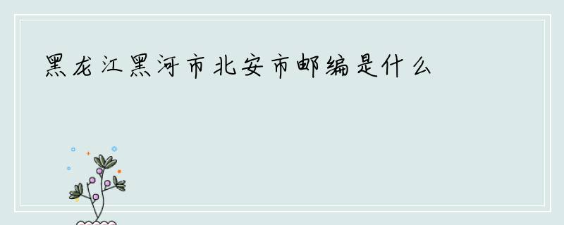 黑龙江黑河市北安市邮编是什么