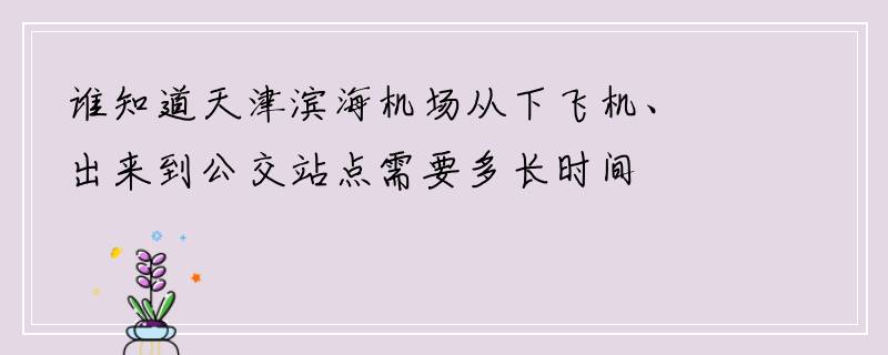 谁知道天津滨海机场从下飞机、出来到公交站点需要多长时间