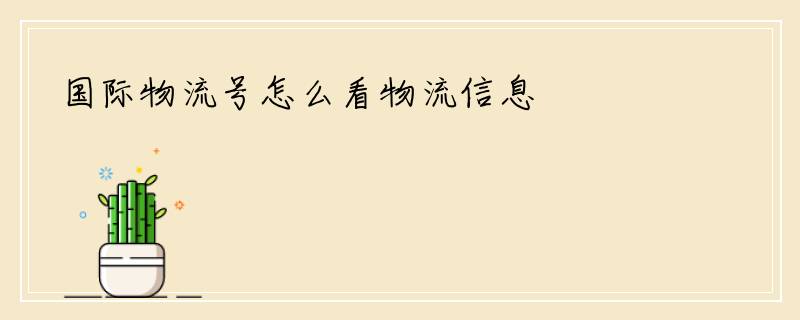 国际物流号怎么看物流信息