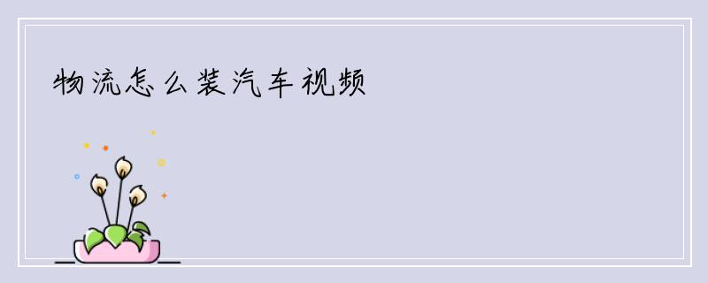 物流怎么装汽车视频