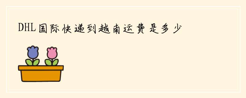 DHL国际快递到越南运费是多少