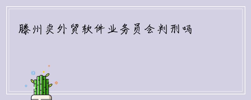 滕州卖外贸软件业务员会判刑吗