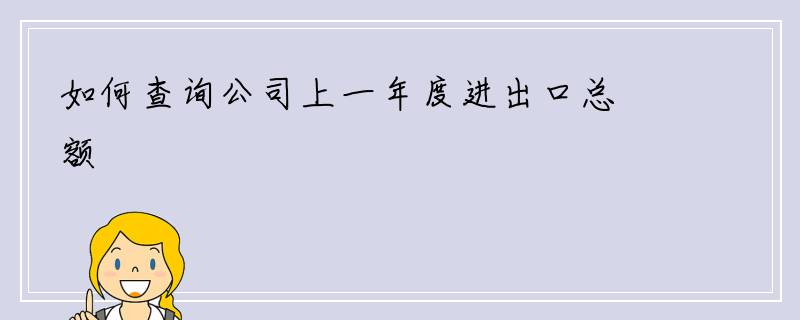 如何查询公司上一年度进出口总额