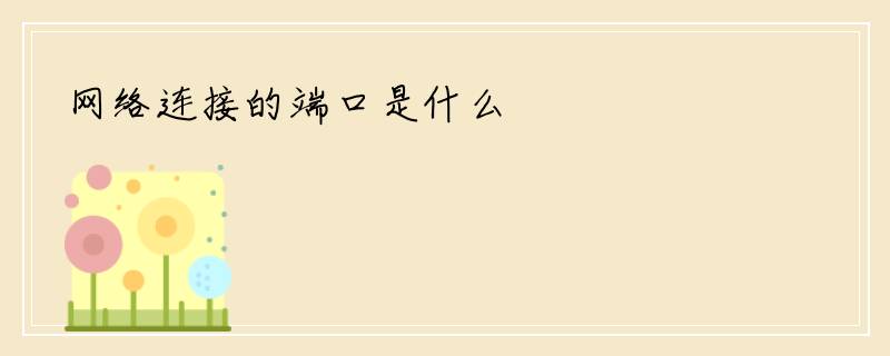 网络连接的端口是什么