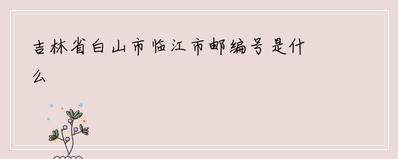 吉林省白山市临江市邮编号是什么