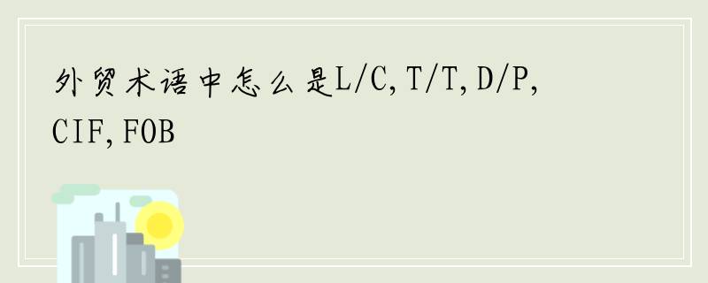 外贸术语中怎么是L/C,T/T,D/P,CIF,FOB